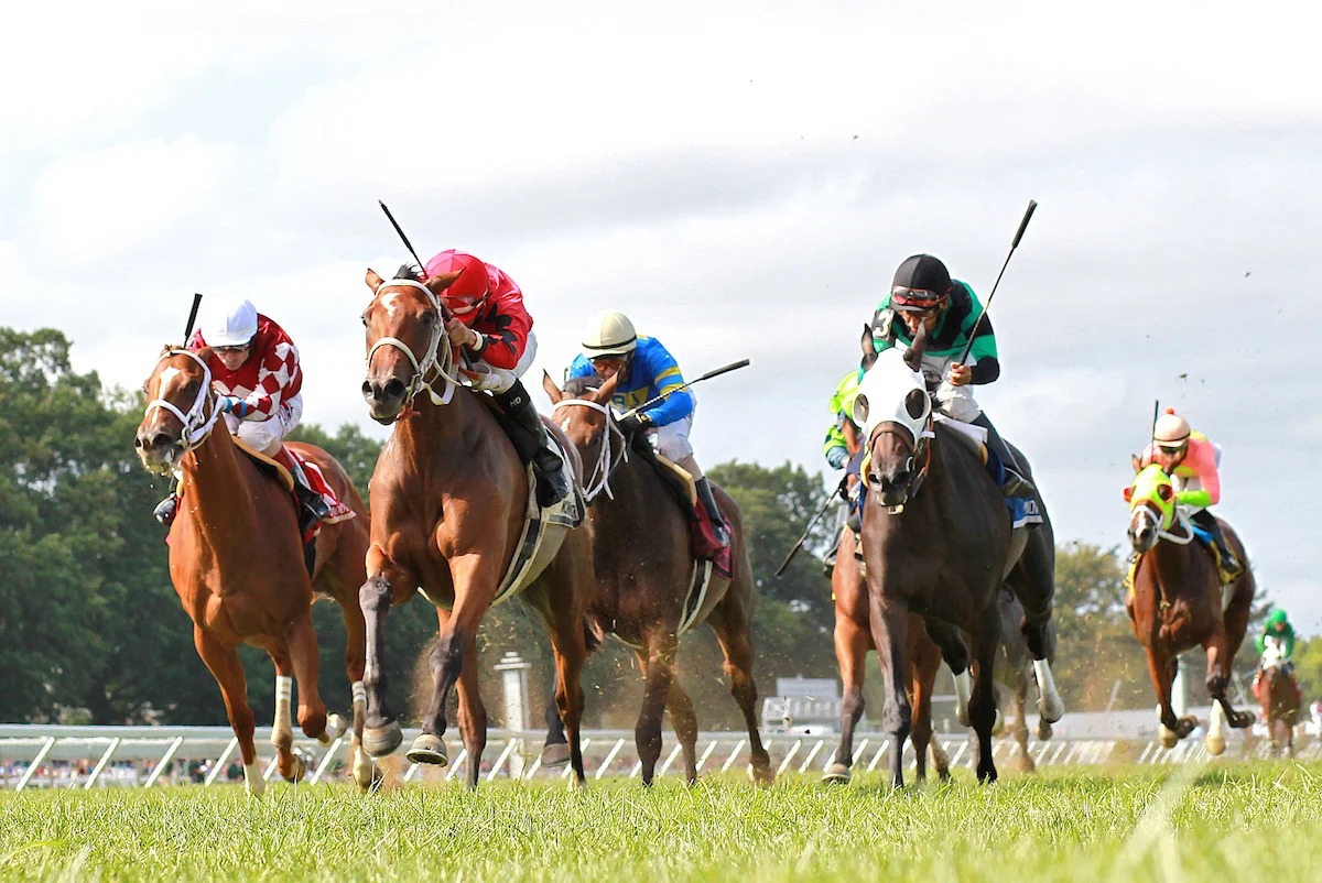 1/ST BET App Guide: Racecards, Replays, Tickets and Account Rules