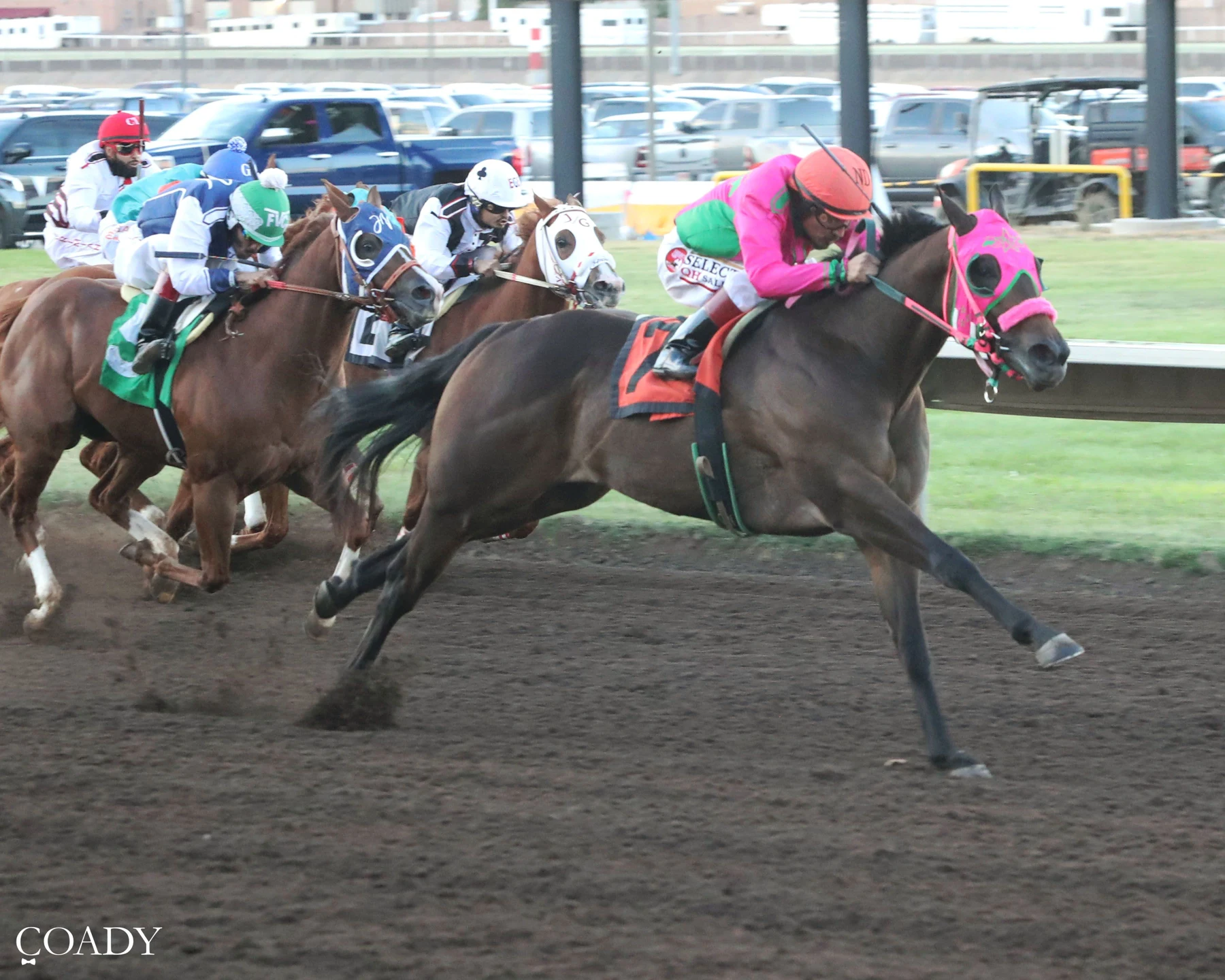 American Quarter Horse Racing Explained: Distances, Rules and Major Events