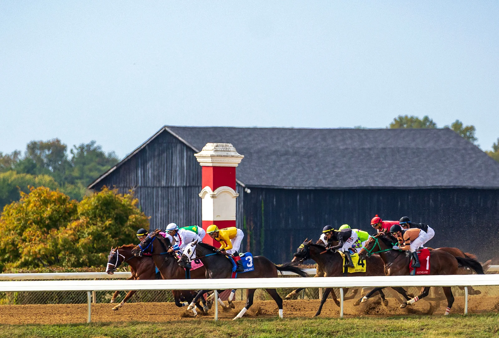 Fall Horse Racing and NFL Weekends: A Viewing Planner