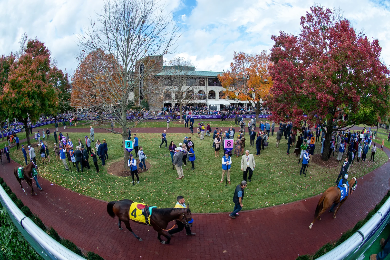 Horses and handlers in the Keeneland paddock during the 2022 Breeders Cup