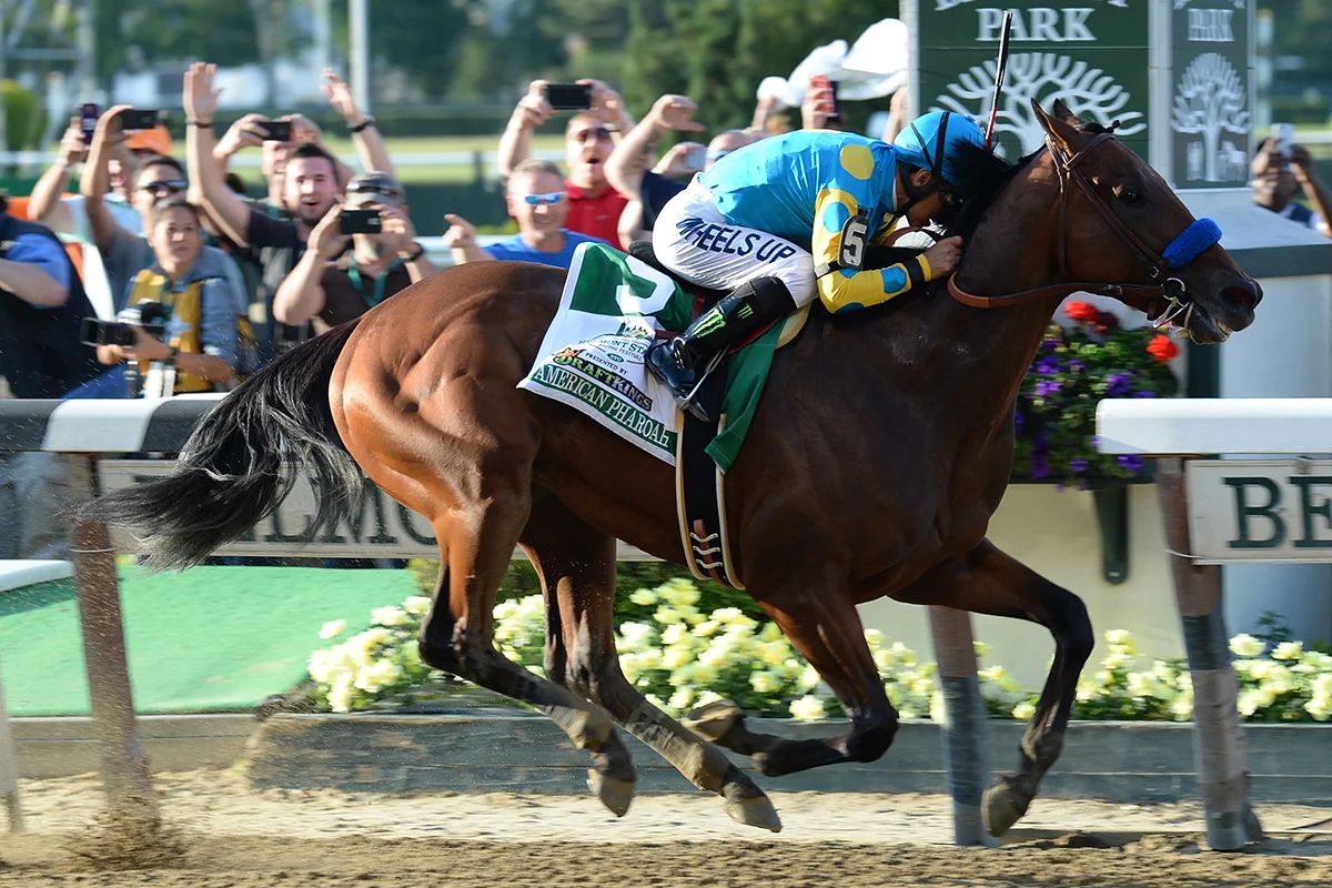 Famous Racehorses Still Alive: Where Retired Champions Live in 2026