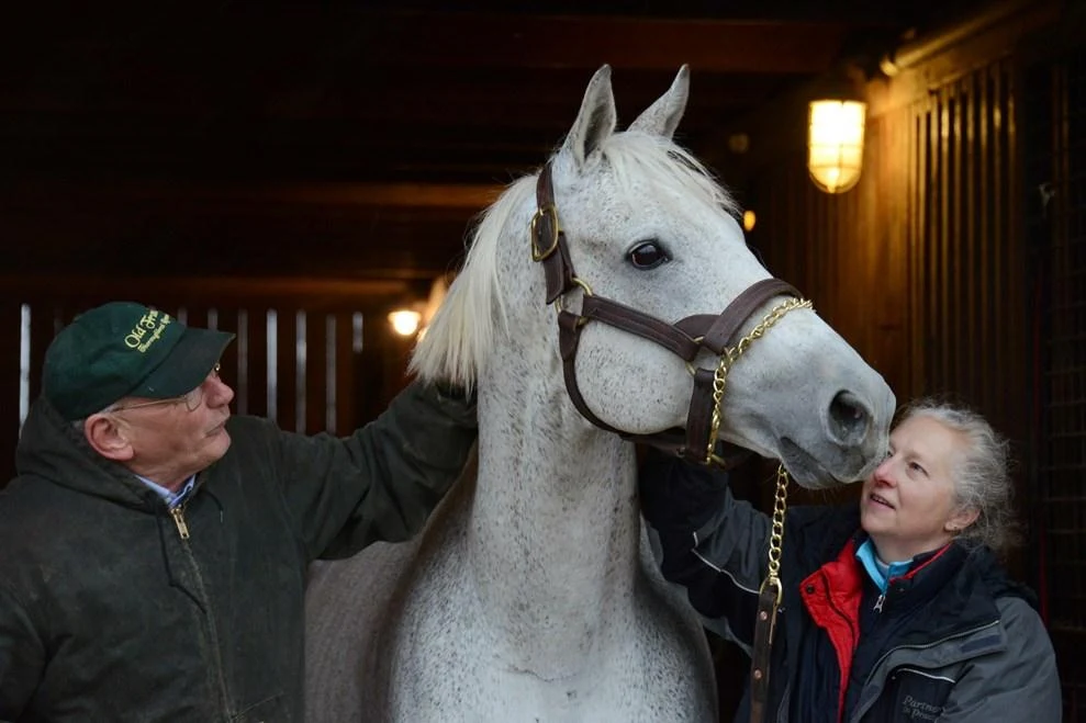 Silver Charm in a photograph published on his official Old Friends profile