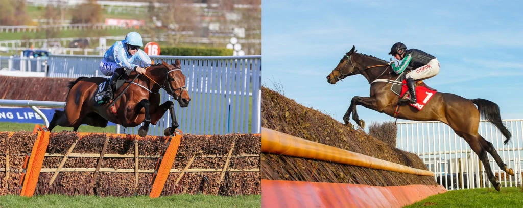 Two real racing photographs compare a horse jumping a hurdle on the left with a horse clearing a fence on the right