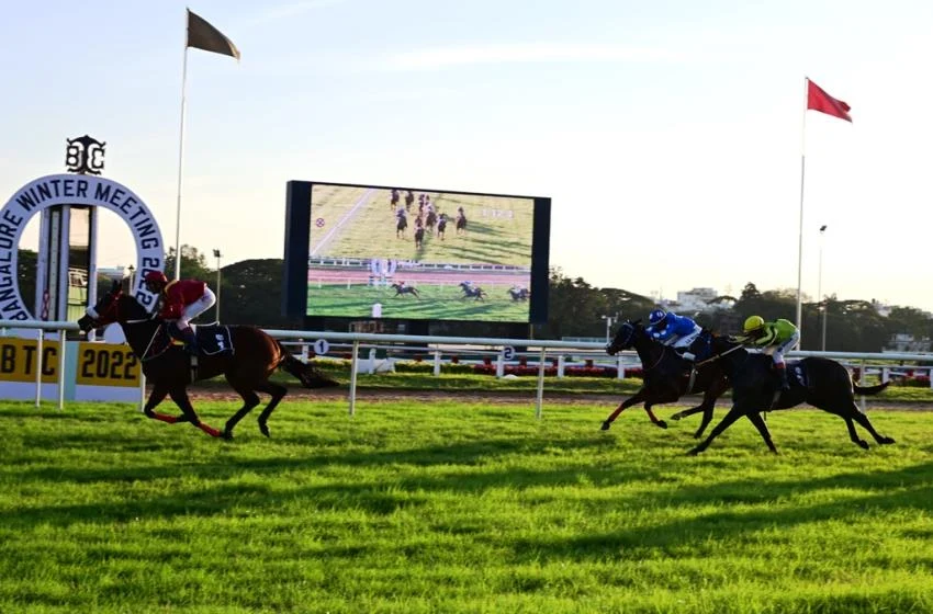 Horse Racing in India: Racecourses, Seasons and How to Watch