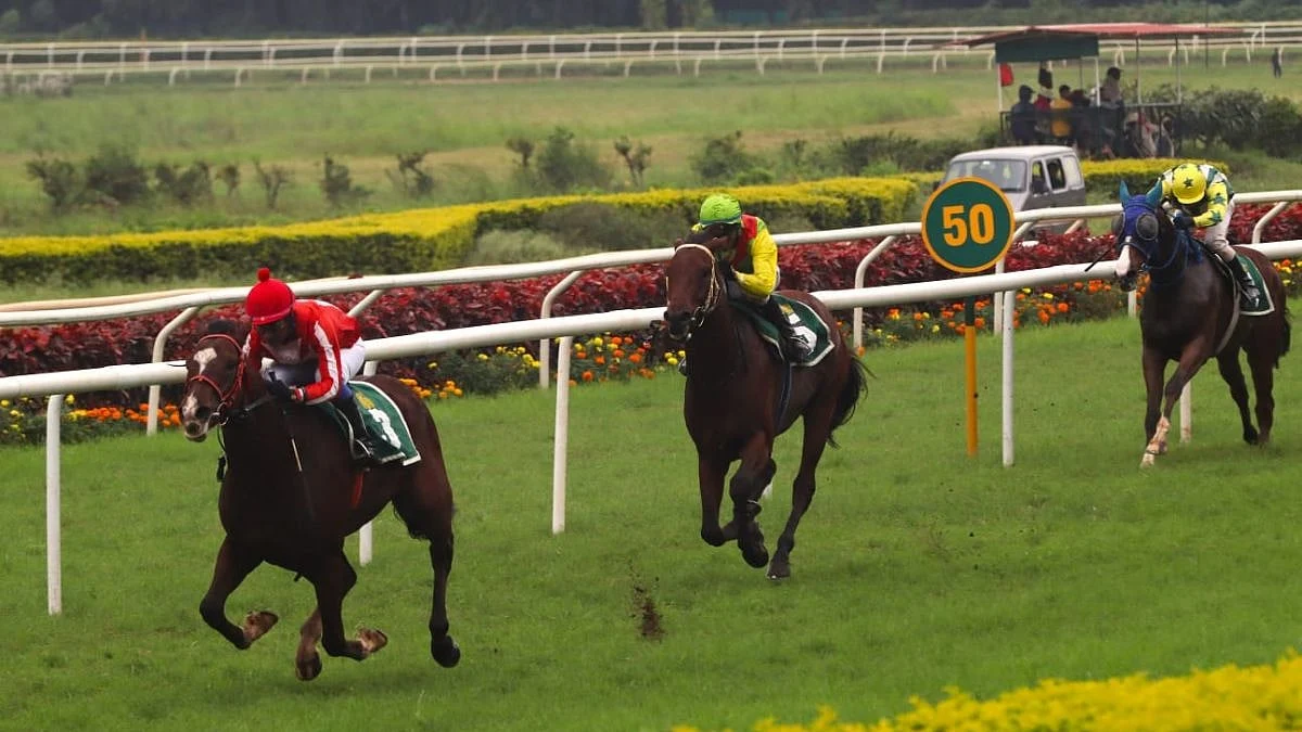 Three Thoroughbreds racing on turf in the photograph accompanying the Pune season announcement