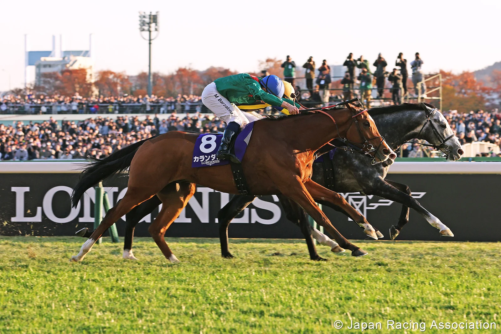 Where Is Horse Racing Most Popular? Countries, US States and the Evidence