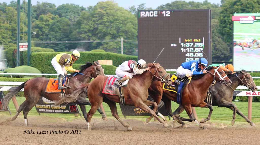 Several horses racing together at Saratoga in the 2012 Travers Stakes