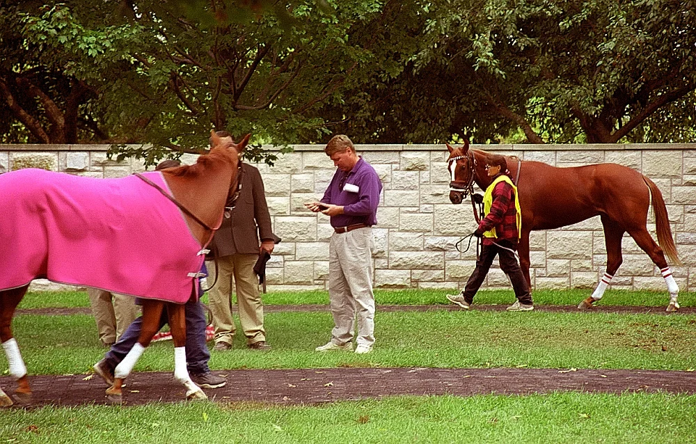 How to Read Equibase Entries: Racecards, Changes and Results