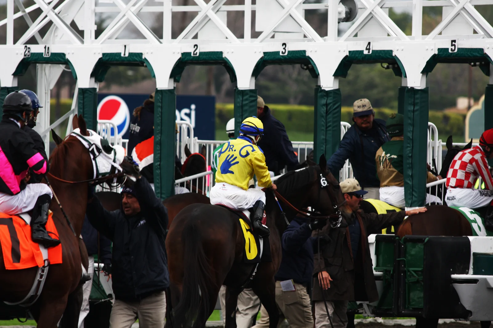 A horse wearing a yellow number 7 saddlecloth waiting near numbered Santa Anita starting stalls