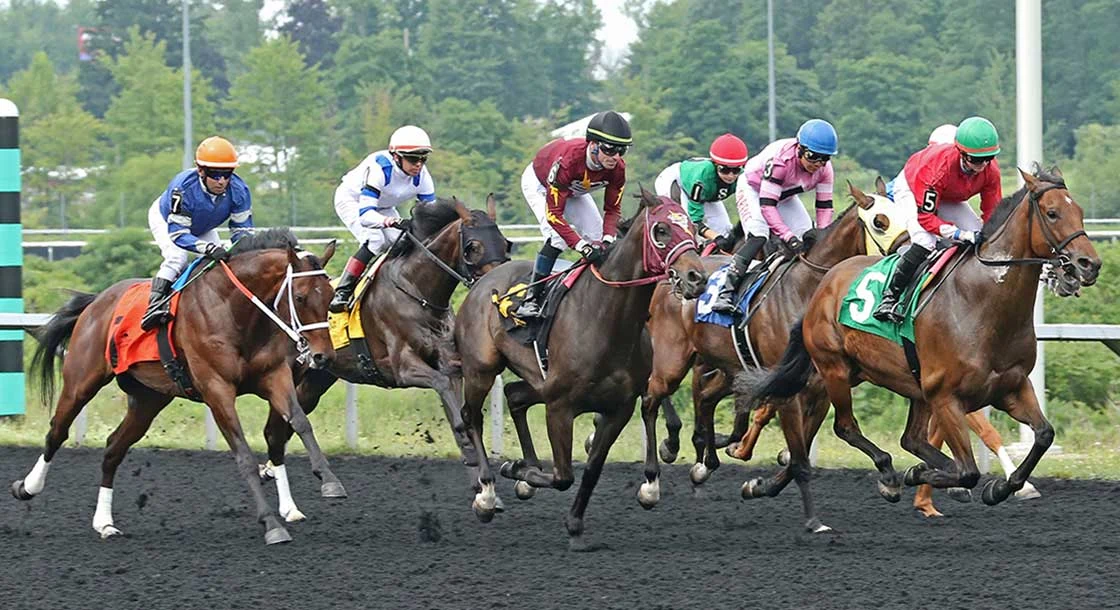 Presque Isle Downs Racing Guide: Seasons, Post Times and Visiting the Track