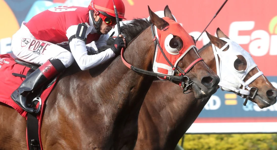A close view of two horses and their jockeys racing past at Presque Isle Downs