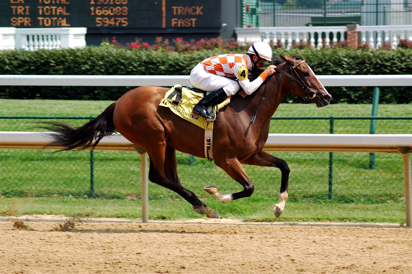 A Thoroughbred runner and jockey racing at Churchill Downs in an archival photograph