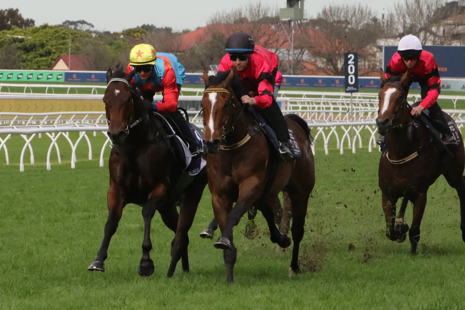 Ka Ying Rising wearing a yellow cap during a Royal Randwick barrier trial