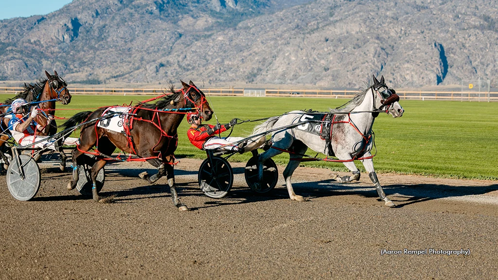 Grey Sea and driver John Abbott winning at Desert Park Raceway on opening day
