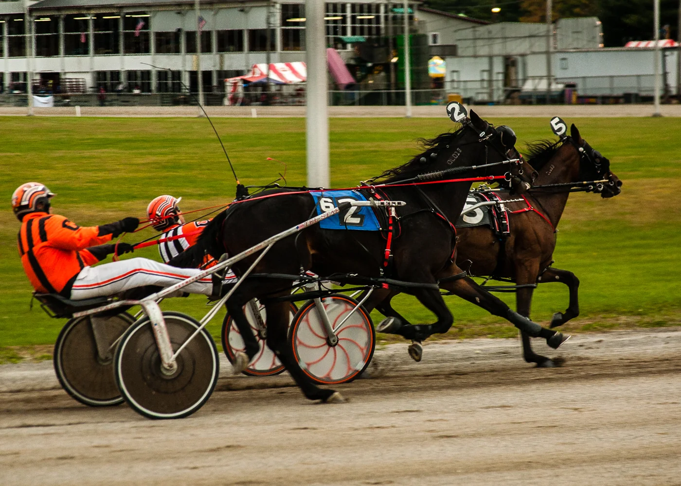 Harness horses pulling sulkies at Cumberland County Fair in Maine